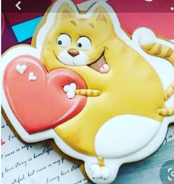 مهر و کاتر کوکی طرح گربه و قلب
